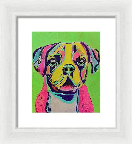 Buster - Framed Print