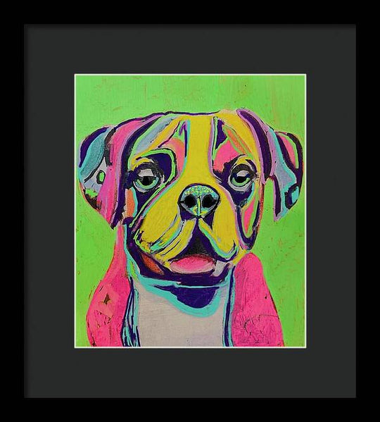 Buster - Framed Print