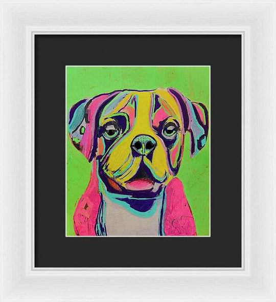 Buster - Framed Print