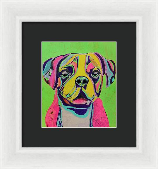 Buster - Framed Print