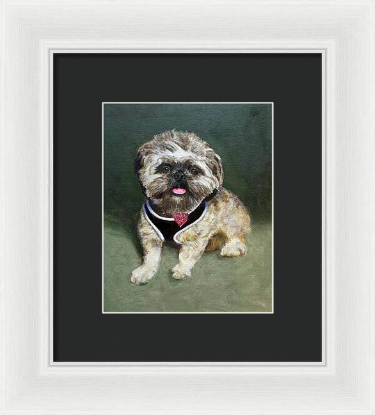 Cassie - Framed Print