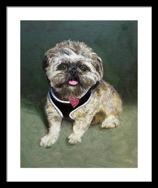 Cassie - Framed Print