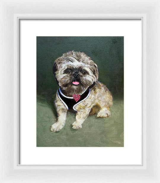 Cassie - Framed Print