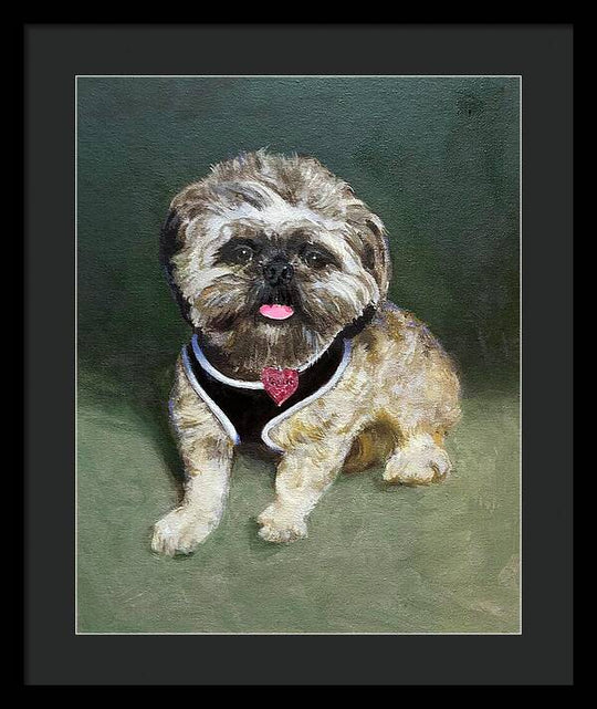 Cassie - Framed Print