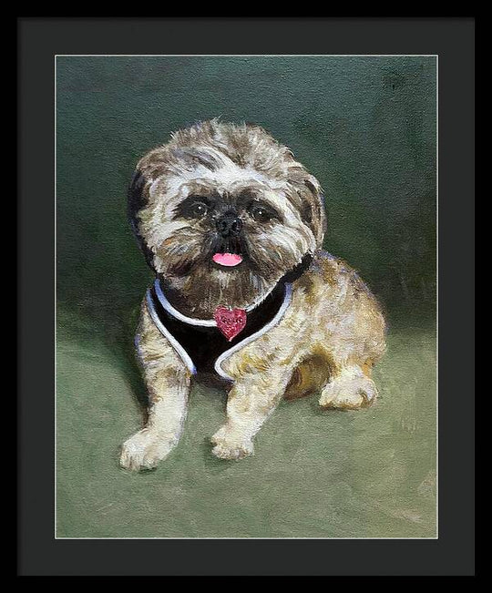 Cassie - Framed Print