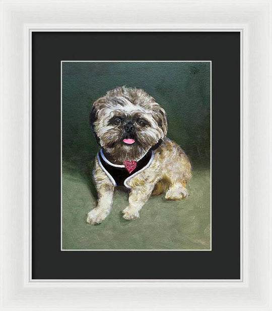 Cassie - Framed Print