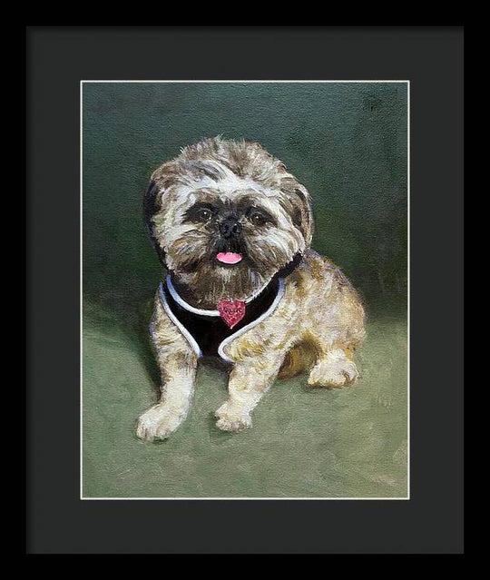 Cassie - Framed Print
