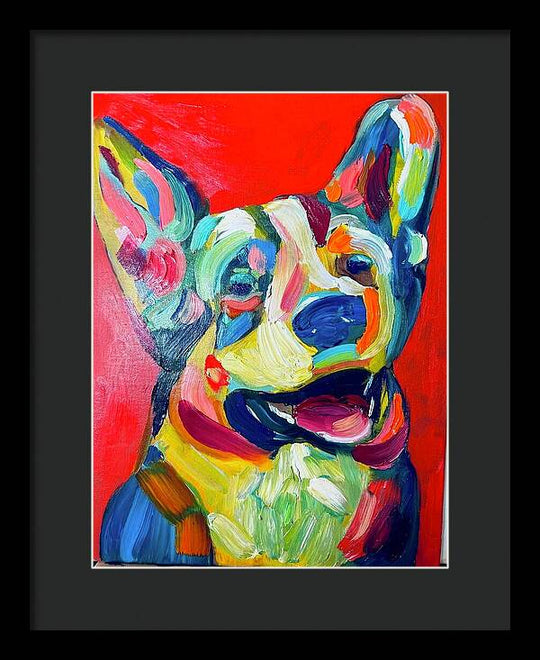 Corgi - Framed Print