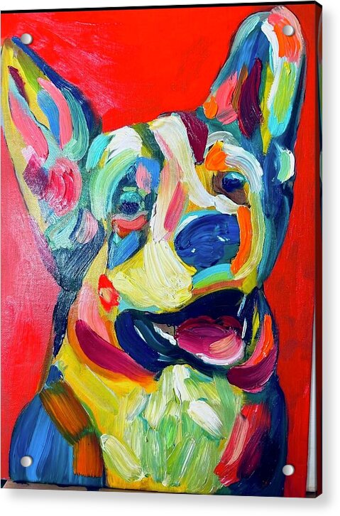 Corgi - Acrylic Print