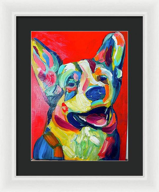 Corgi - Framed Print