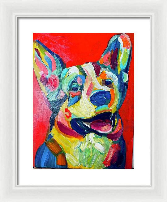 Corgi - Framed Print