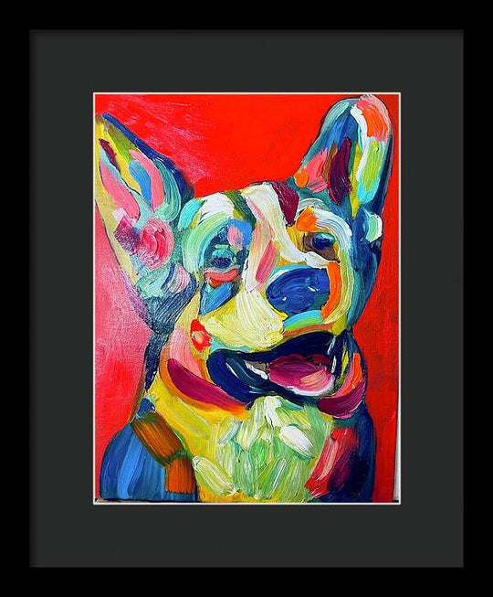 Corgi - Framed Print