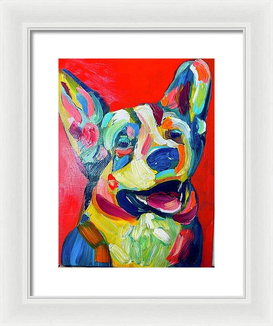 Corgi - Framed Print