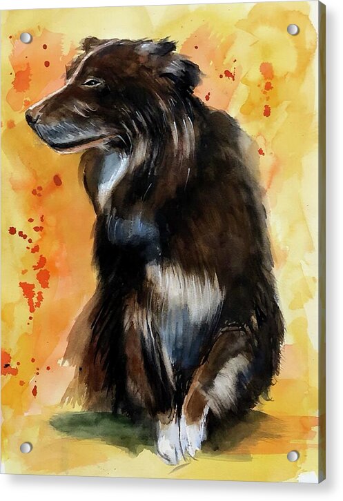 Cowboy - Acrylic Print