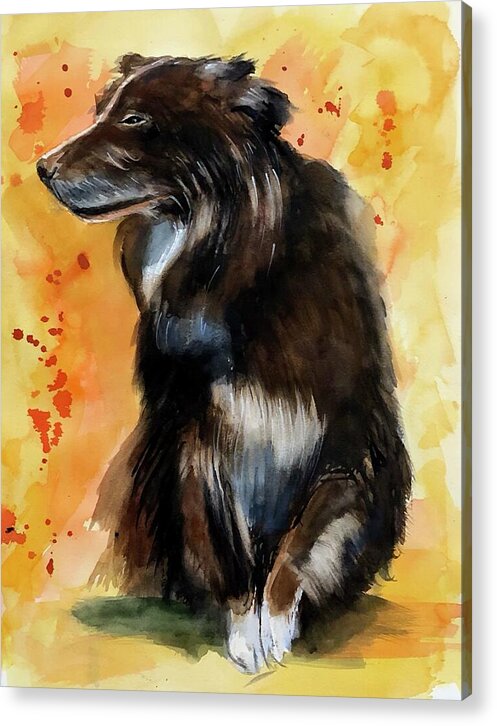Cowboy - Acrylic Print