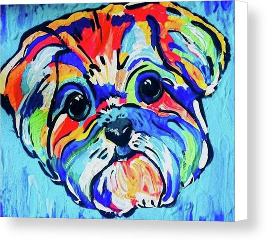Fritz - Canvas Print