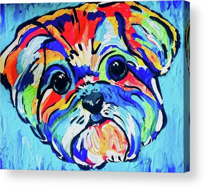 Fritz - Acrylic Print