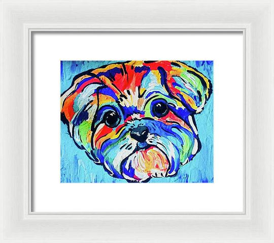 Fritz - Framed Print