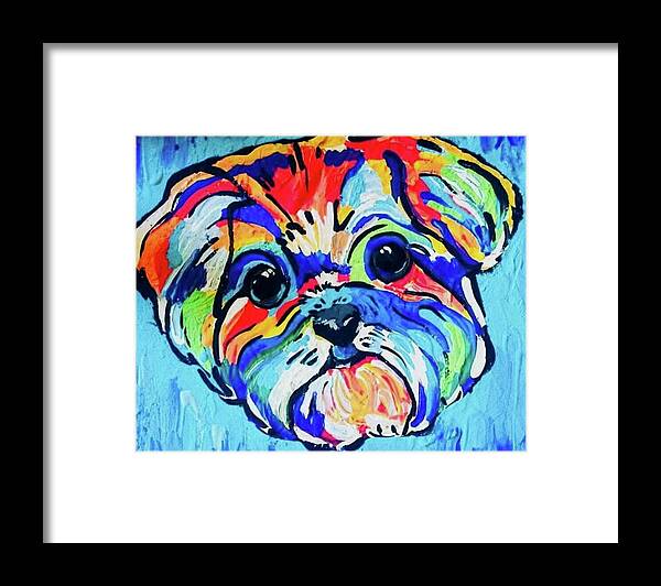 Fritz - Framed Print