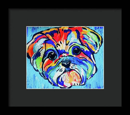 Fritz - Framed Print