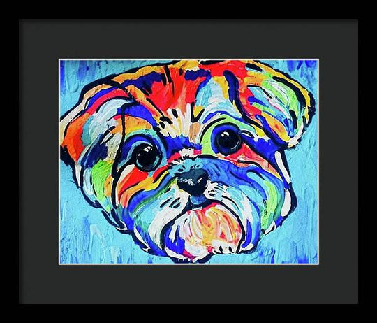 Fritz - Framed Print