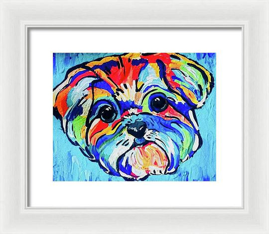 Fritz - Framed Print