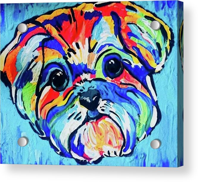 Fritz - Acrylic Print