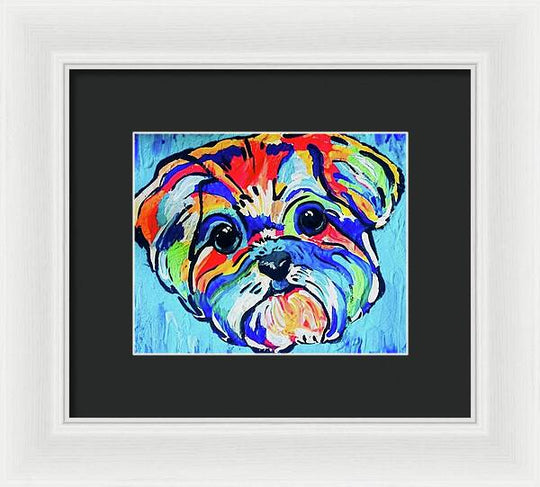 Fritz - Framed Print