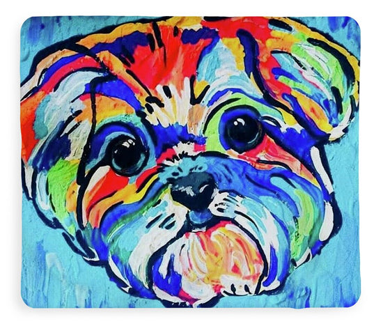 Fritz - Blanket