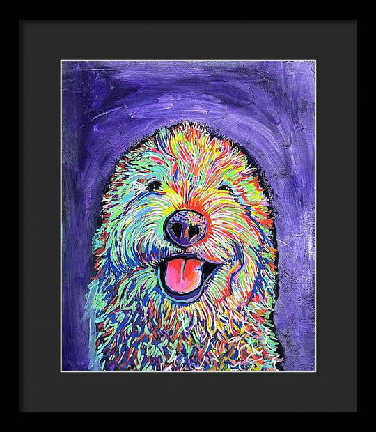 Frizzy  - Framed Print