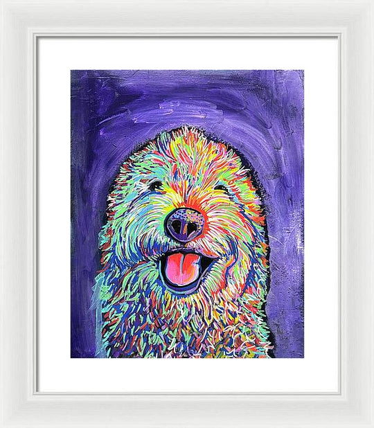 Frizzy  - Framed Print