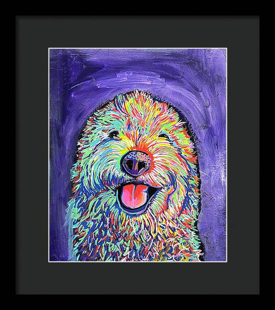 Frizzy  - Framed Print