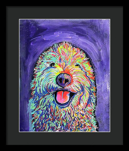 Frizzy  - Framed Print