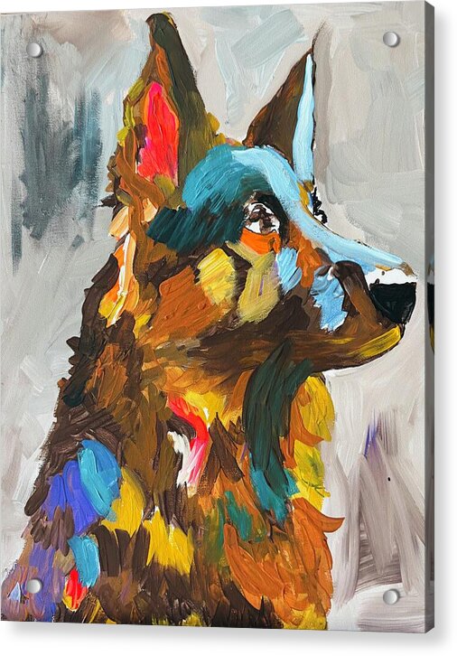 Sam - Acrylic Print