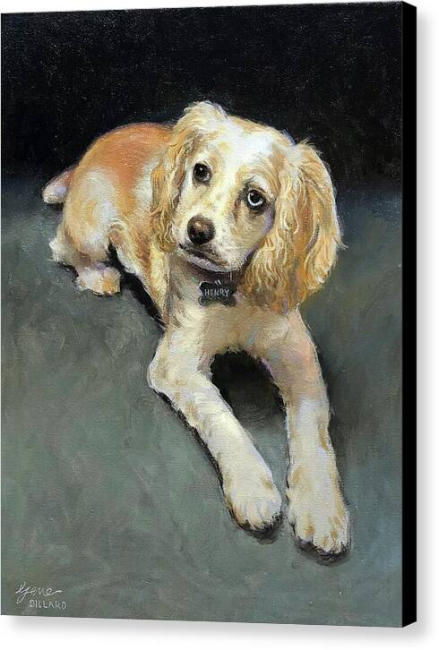 Henry - Canvas Print
