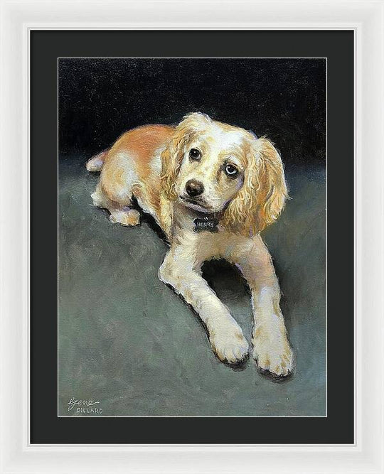 Henry - Framed Print