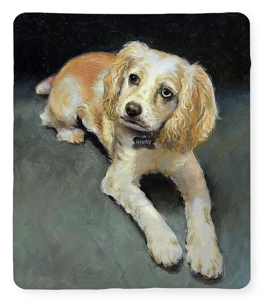 Henry - Blanket