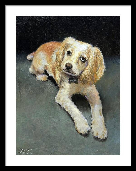 Henry - Framed Print