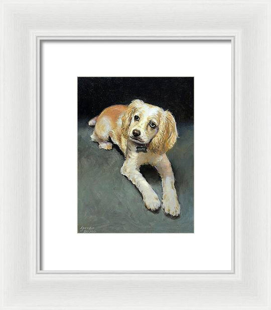 Henry - Framed Print