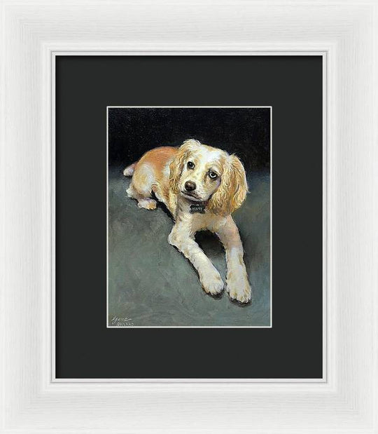 Henry - Framed Print