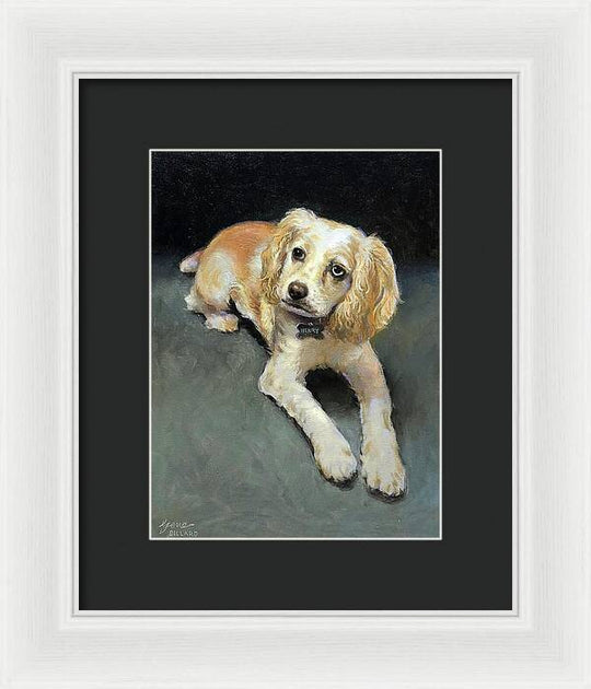 Henry - Framed Print