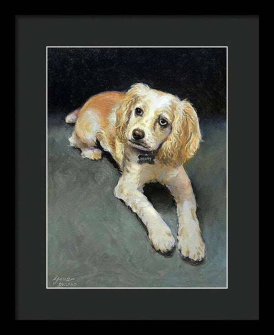Henry - Framed Print