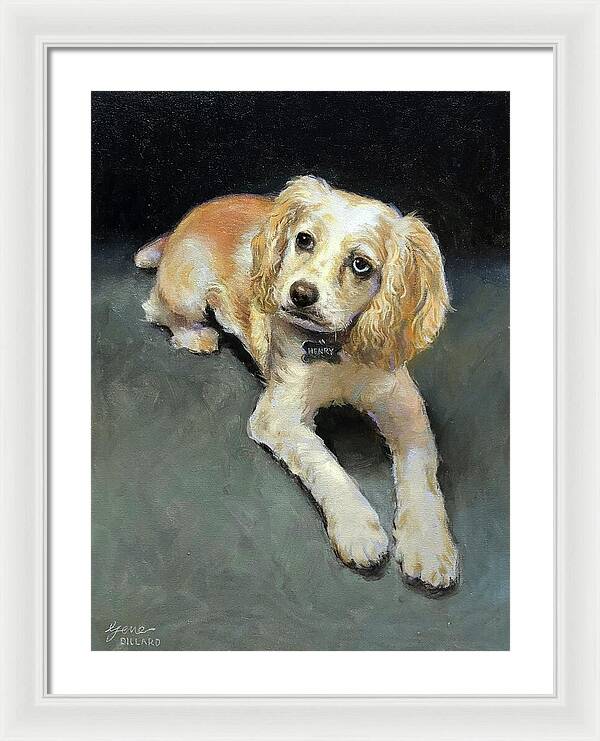 Henry - Framed Print