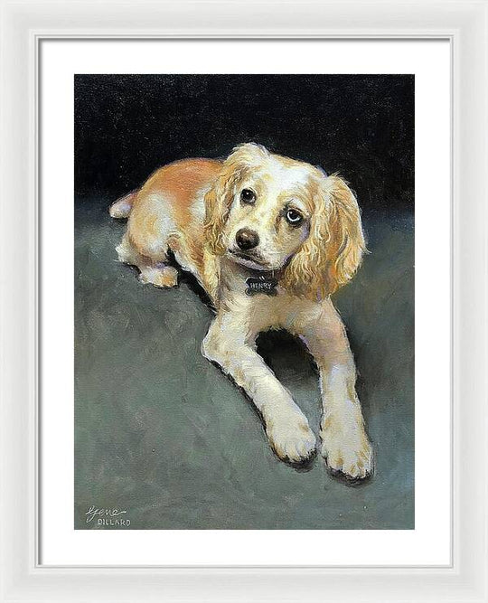 Henry - Framed Print