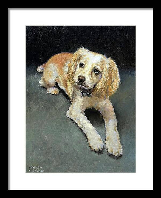 Henry - Framed Print