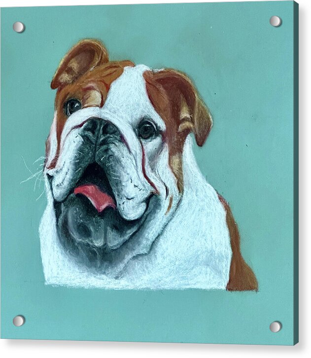 Hercules - Acrylic Print