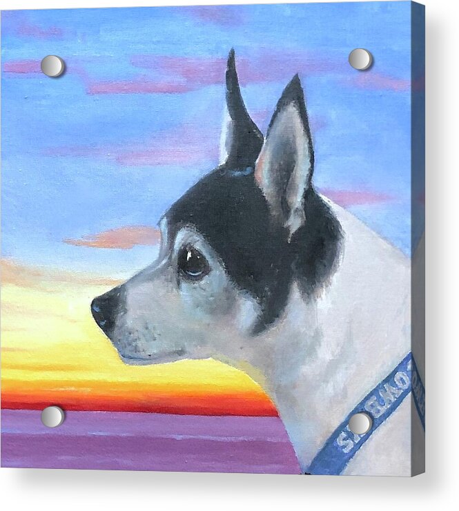 Jack - Acrylic Print