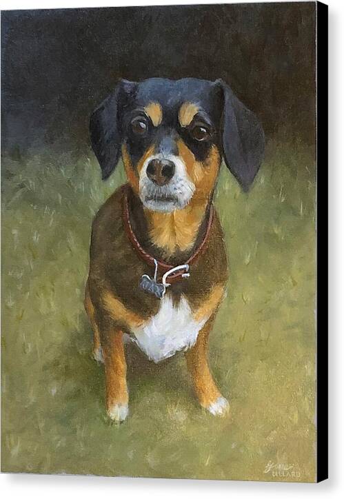 Jax - Canvas Print
