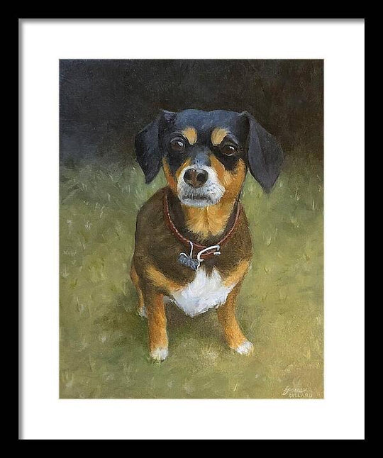 Jax - Framed Print