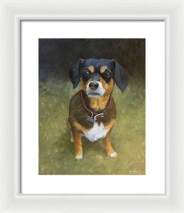 Jax - Framed Print